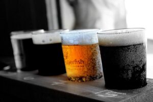 北欧の水サーバー試飲キャンペーン情報はどこで見つけられる？