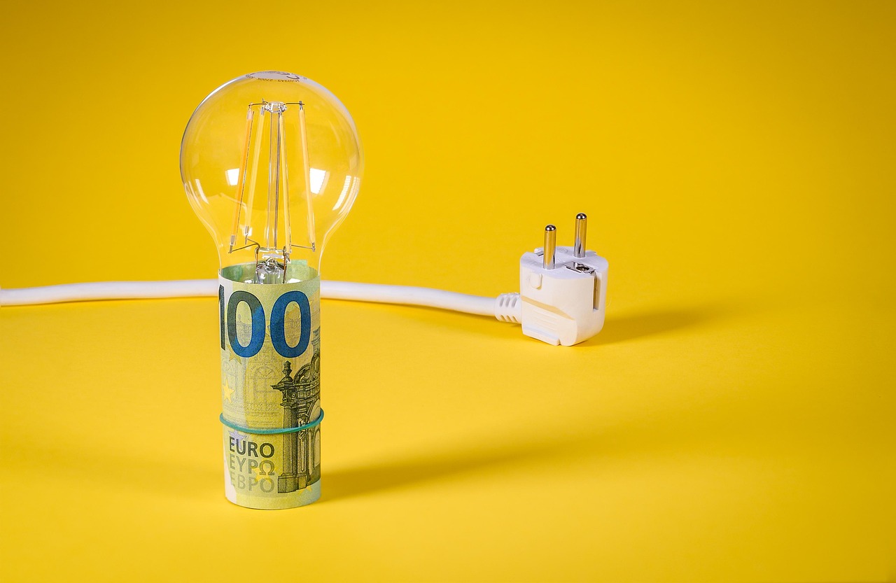 北欧エコ志向のサーバーで電気代を節約する方法は？