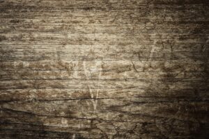 北欧ブラウンの木脚サーバーのレンタル価格はいくらですか？