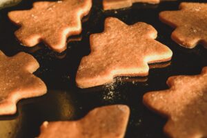 北欧賃貸のキッチンで水道直結サーバーの料金はどれくらい？