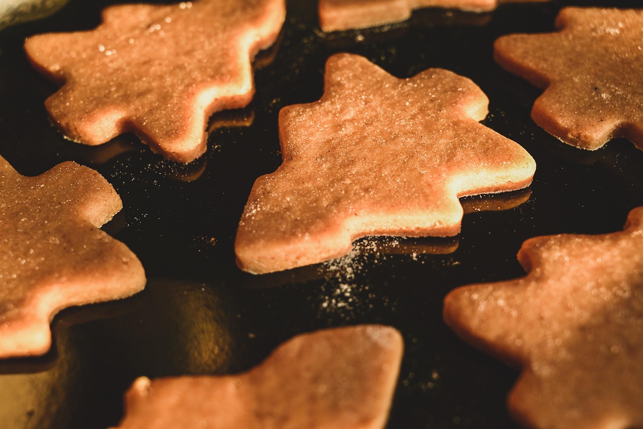 北欧賃貸のキッチンで水道直結サーバーの料金はどれくらい？