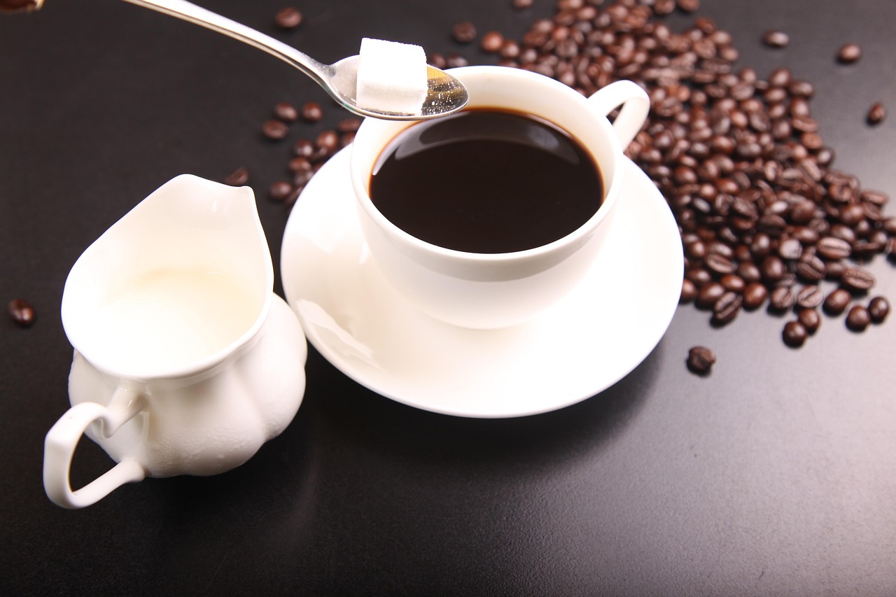 北欧風のコーヒー兼用サーバーの月額料金を比較する方法は？