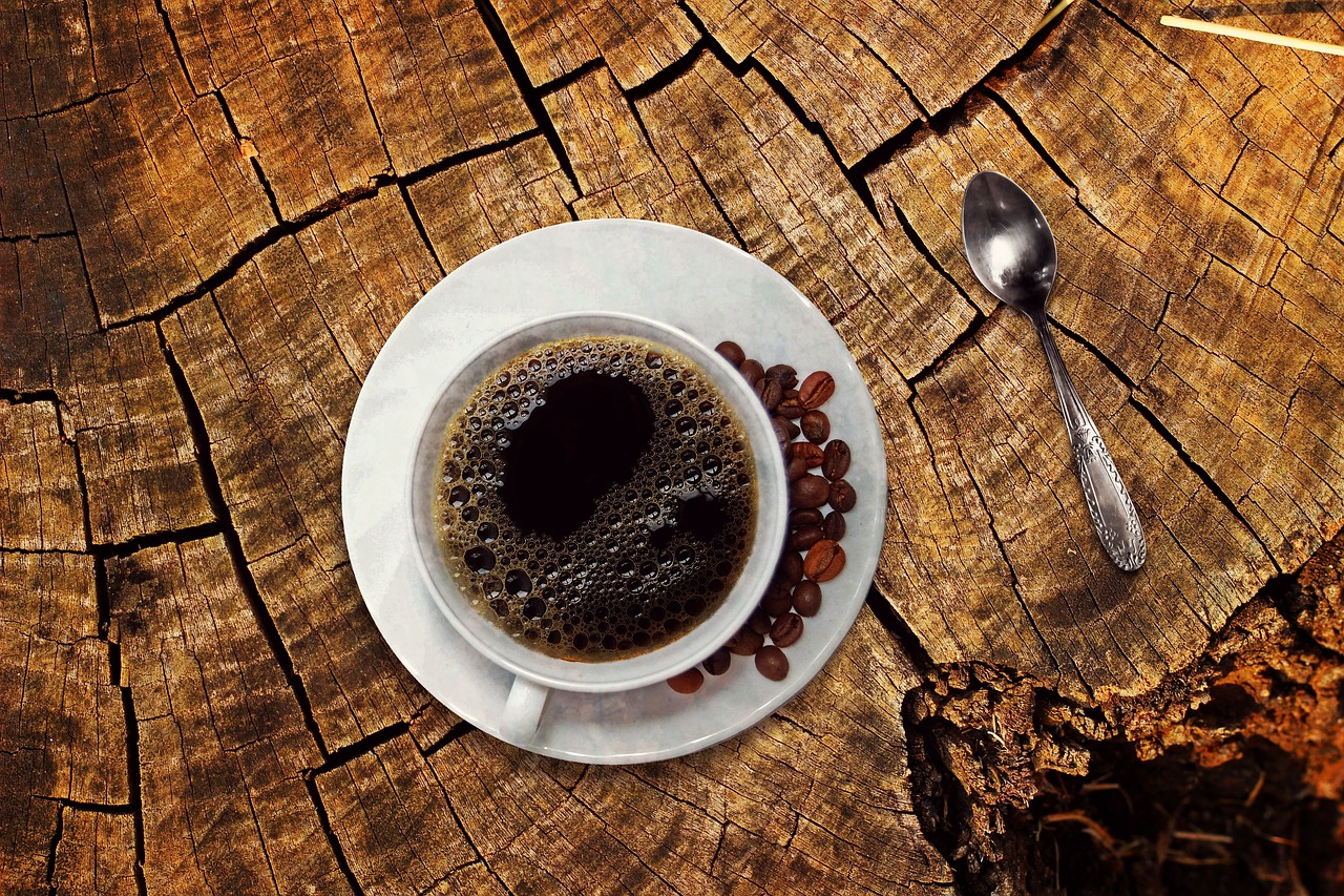 北欧風のコーヒー兼用サーバーの月額比較はどれが最適？