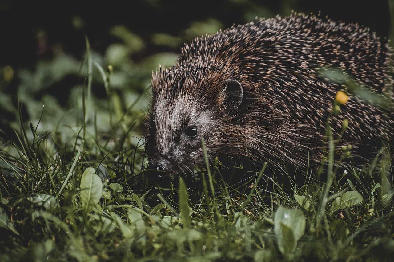 ウォーターサーバーのデザイン性と機能性を両立させる選び方は？