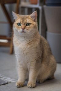 北欧カラーのベージュを取り入れた水サーバーの定額プランの例は？