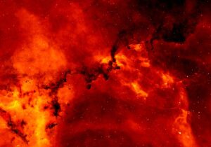 北欧キッチンにぴったりな省スペースサーバーの定額プランは？